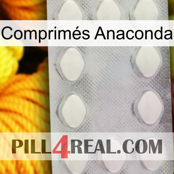 Comprimés Anaconda 16.jpg